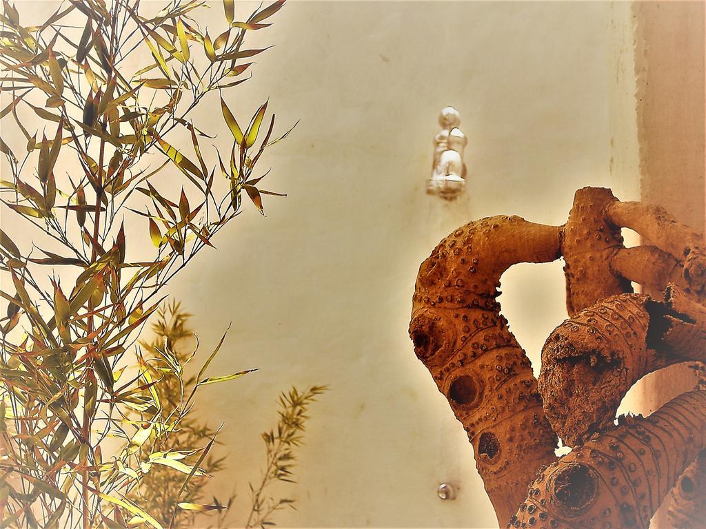 Hostal Palohe Taganga Esterno foto